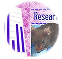 Canvas del proyecto Drug Research