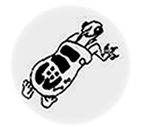Chasing after Caminalcules